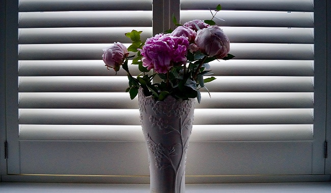 Hampton Bay Mini Blinds