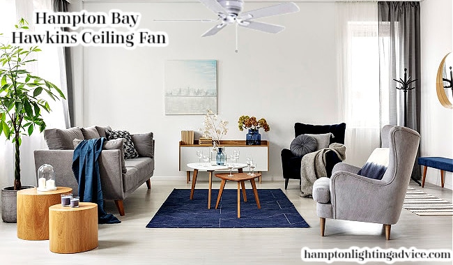 Hawkins Ceiling Fan in Lounge